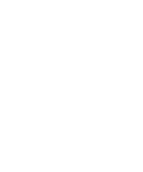 extra stars7